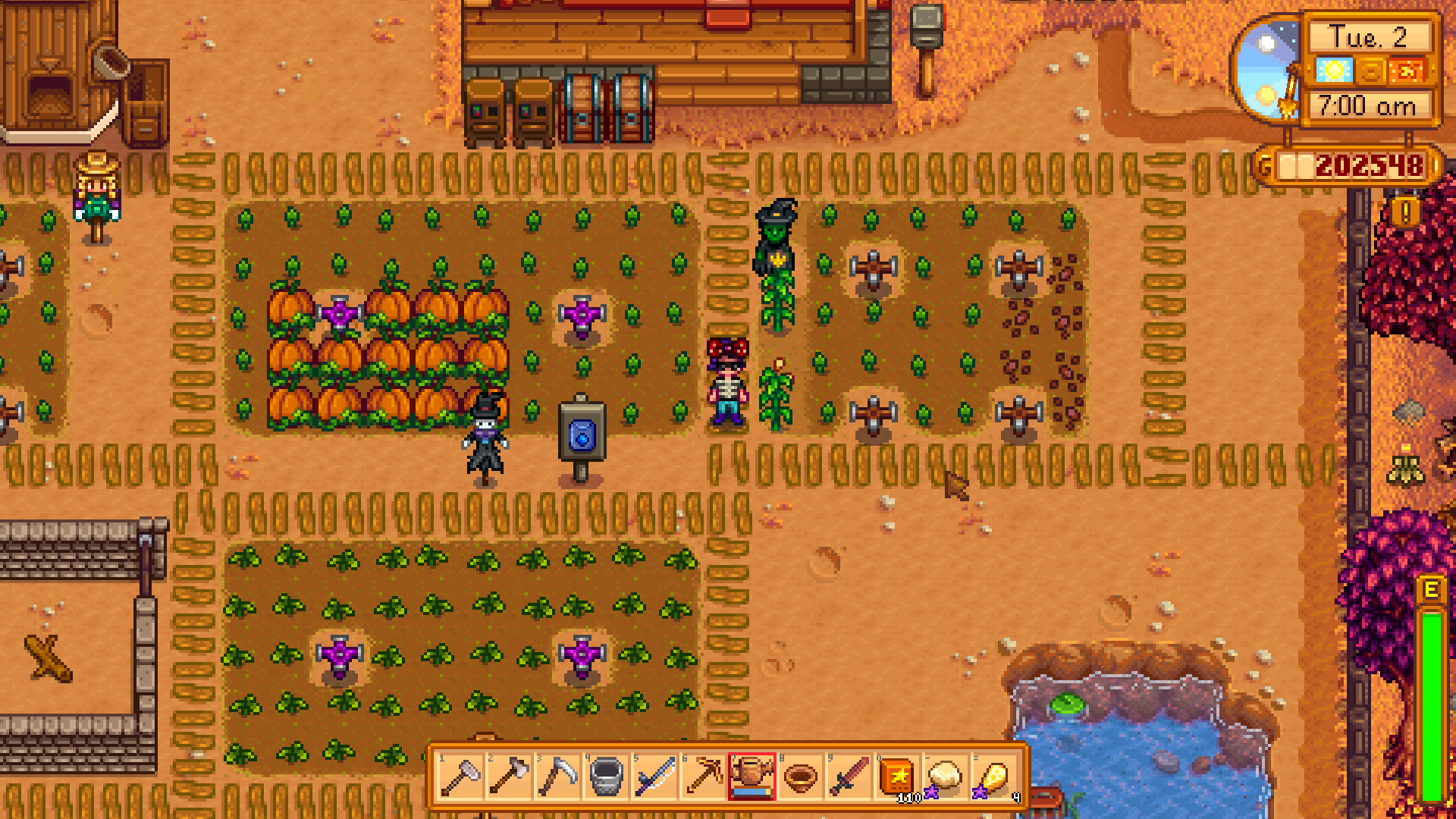 The player character standing amid fields with sprouting plants and seeds; a noticeable patch of pumpkins is fully grown